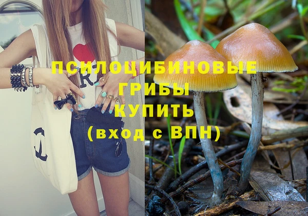 герыч Козловка