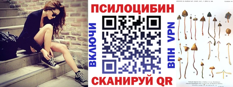 Галлюциногенные грибы Psilocybe  Ликино-Дулёво 